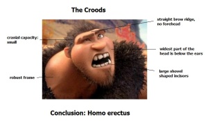 the croods homo erectus